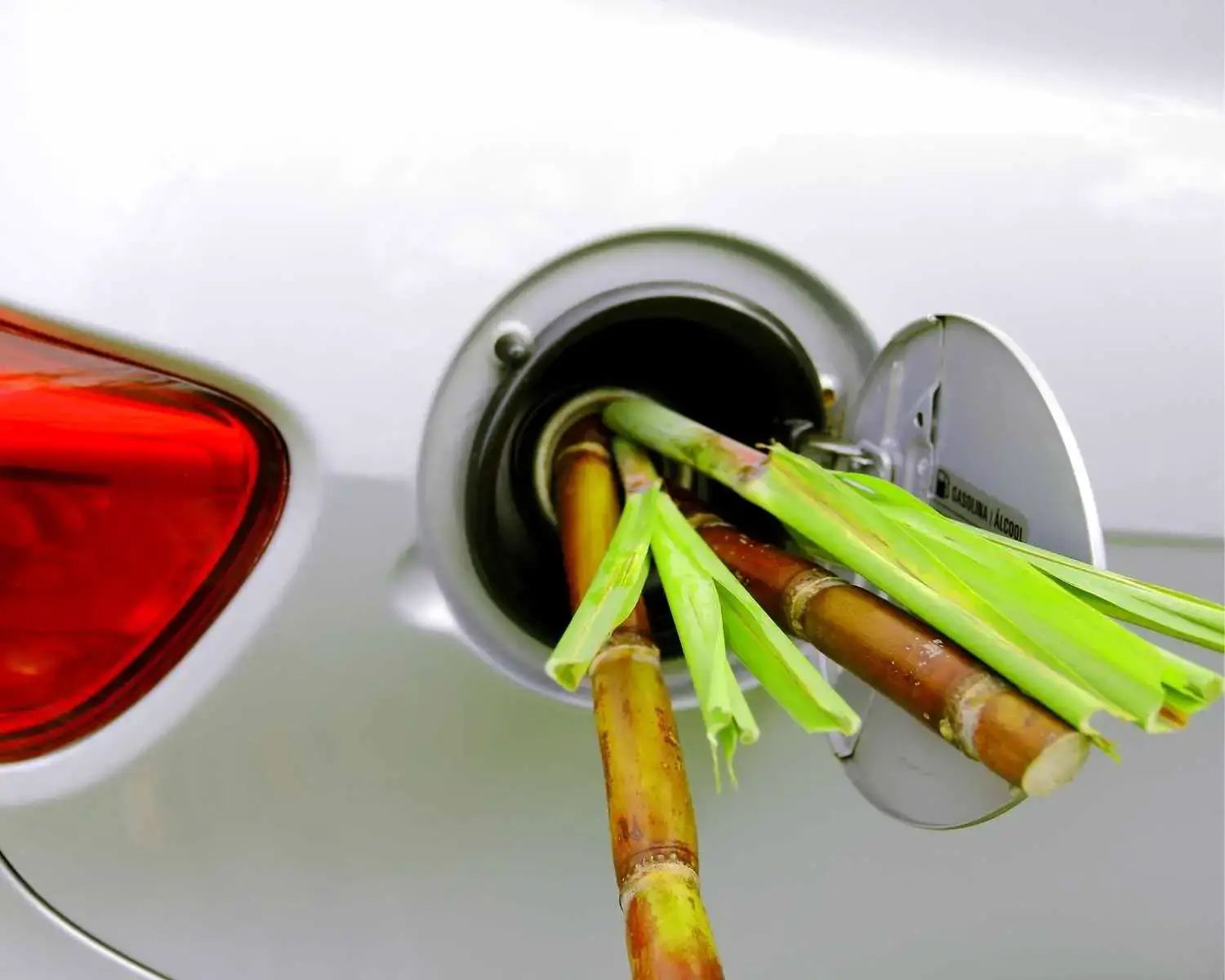 stirisurse.ro biocombustibilii o solutie esuata pentru mediu